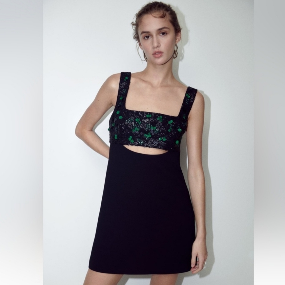 Zara Embroidered Yoke Dress, Limited Edition - Picture 2 of 12